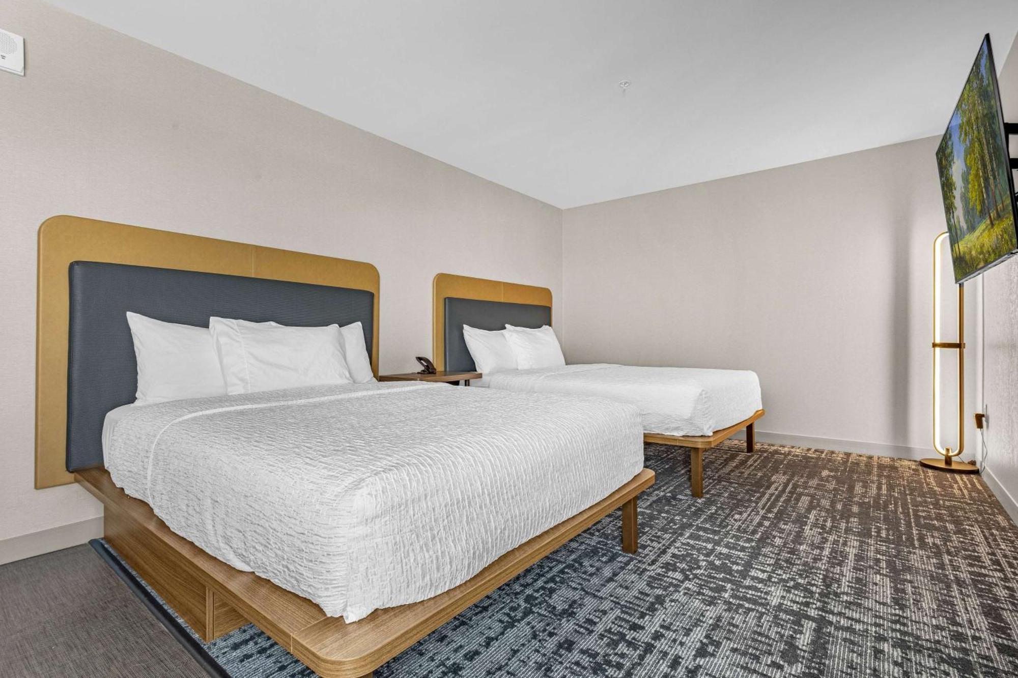 Homewood Suites By Hilton Colorado Springs Airport المظهر الخارجي الصورة